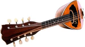 mandolin 1